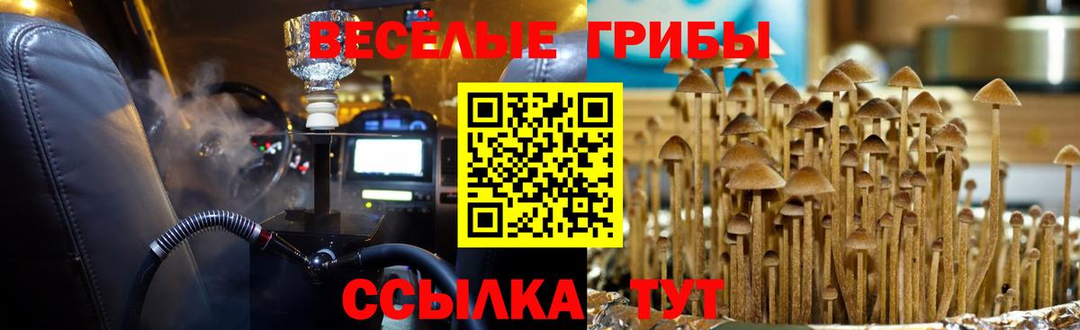 Шелехов  где продают наркотики  Вход с VPN  Псилоцибиновые грибы MAGIC MUSHROOMS 