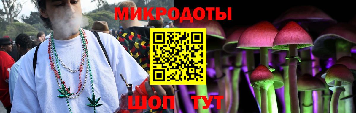 Псилоцибиновые грибы мицелий Шелехов